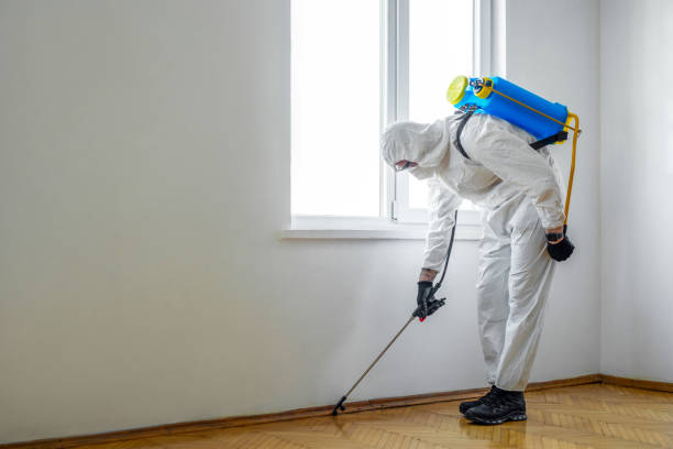 Best Emergency Pest Control  in Spencer, IN