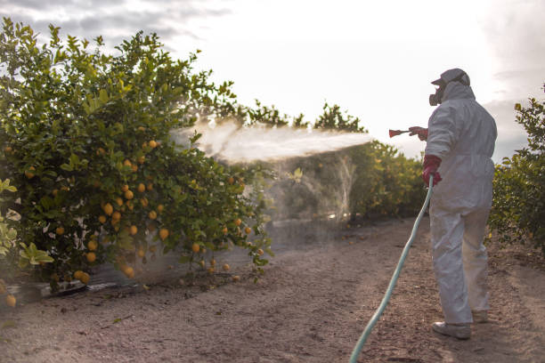Best Local Pest Control Services  in Spencer, IN