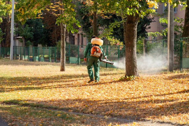Best Termite Control Services  in Spencer, IN