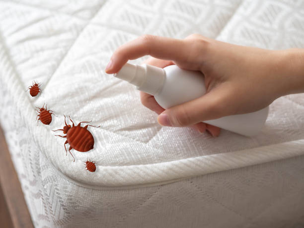 Best Insect Control  in Spencer, IN