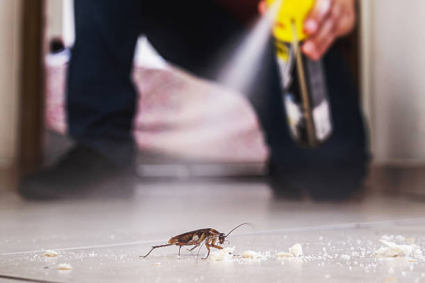 Best Affordable Pest Control Services  in Spencer, IN